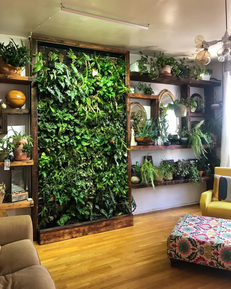 Sala de estar con plantas de interior en estantes y macetas